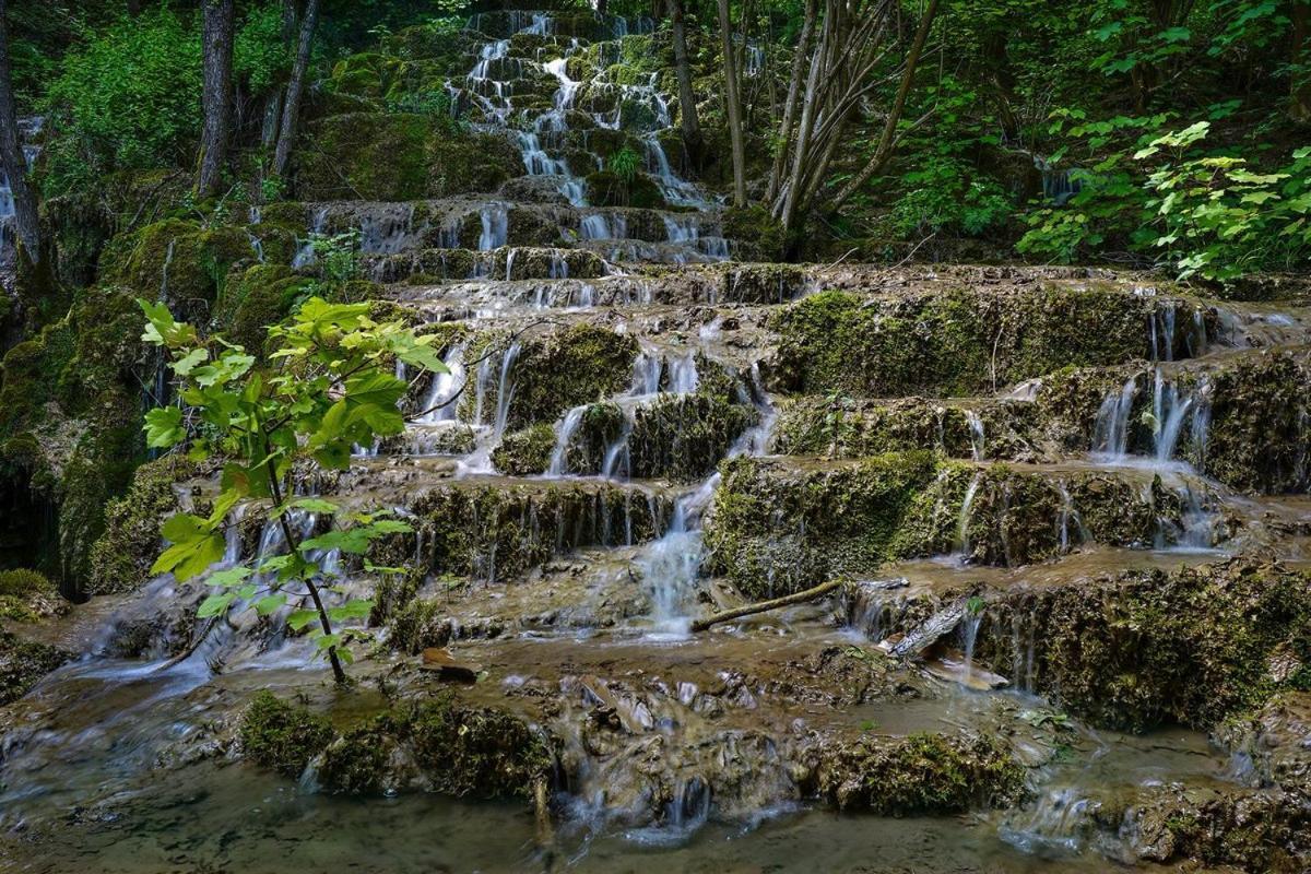 Garni Hotel Mali Predah - Novi Deo Knjazevac Kültér fotó